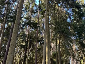 Prodej pozemku, Slabčice, 13278 m2