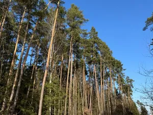 Prodej pozemku, Slabčice, 13278 m2