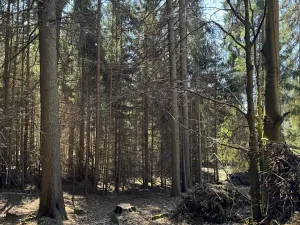 Prodej podílu pozemku, Studená, 18432 m2