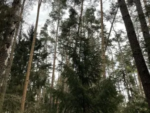 Prodej pozemku, Hradiště, 9237 m2