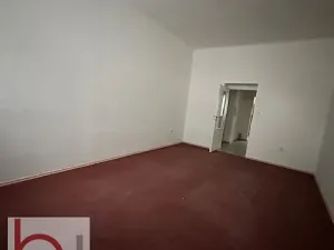 Pronájem bytu 1+1, České Budějovice, 40 m2