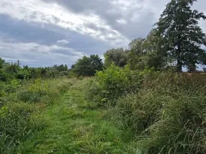 Prodej zahrady, Borek, 3737 m2