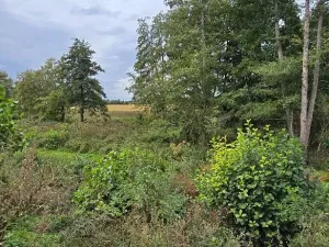 Prodej zahrady, Borek, 3737 m2