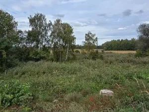 Prodej zahrady, Borek, 3737 m2