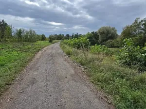 Prodej zahrady, Borek, 3737 m2