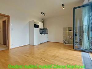 Pronájem bytu 1+kk, Praha - Žižkov, Olšanská, 41 m2