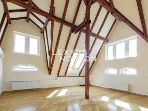 Pronájem bytu 5+1, Praha - Malá Strana, Újezd, 286 m2