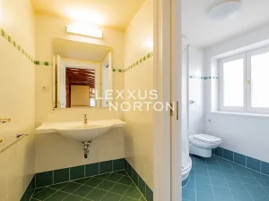 Pronájem bytu 5+1, Praha - Malá Strana, Újezd, 286 m2