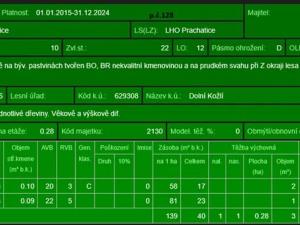 Prodej podílu lesa, Vlachovo Březí, 1357 m2