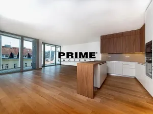 Pronájem bytu 4+kk, Praha - Smíchov, Holečkova, 178 m2