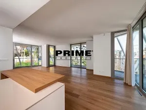 Pronájem bytu 4+kk, Praha - Smíchov, Holečkova, 178 m2