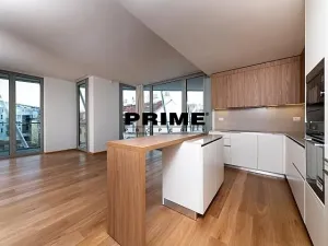 Pronájem bytu 4+kk, Praha - Smíchov, Holečkova, 178 m2