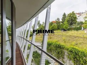 Pronájem bytu 4+kk, Praha - Smíchov, Holečkova, 174 m2