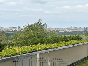 Prodej bytu 2+kk, Praha - Hlubočepy, náměstí Olgy Scheinpflugové, 50 m2