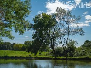 Prodej pozemku pro bydlení, Bulhary, 447 m2