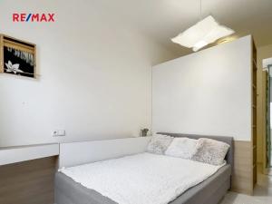 Pronájem bytu 2+kk, Praha - Vršovice, Orelská, 54 m2