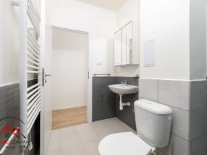 Pronájem bytu 1+kk, Ostrava, Palackého, 26 m2