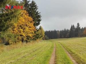 Prodej pozemku pro bydlení, Radvanice, 902 m2