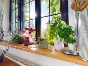 Prodej rodinného domu, Kamenný Přívoz, 159 m2