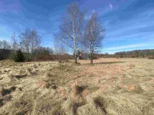 Prodej pozemku, Aš - Nový Žďár, 3300 m2