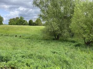 Prodej pozemku, Trutnov - Volanov, Za Mostem, 1585 m2