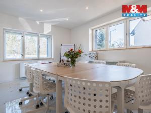 Pronájem rodinného domu, Průhonice, Hlavní, 248 m2