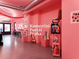 Pronájem restaurace, Praha - Malá Strana, Karmelitská, 259 m2
