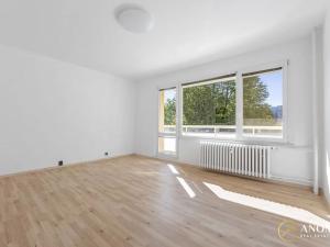 Prodej bytu 2+1, Brno, Krymská, 54 m2