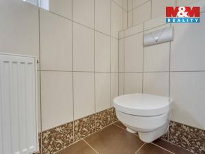 Pronájem rodinného domu, Zruč-Senec - Zruč, V loučce, 169 m2