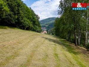 Prodej pozemku pro bydlení, Jeseník, Thámova, 4992 m2