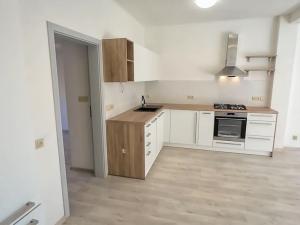 Prodej atypického bytu, Jihlava, Václavkova, 256 m2
