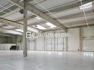 Pronájem skladu, Hrušovany u Brna, Vodní, 2988 m2