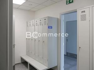 Pronájem skladu, Hrušovany u Brna, Vodní, 2988 m2