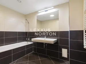 Pronájem bytu 4+kk, Praha - Holešovice, Jankovcova, 116 m2