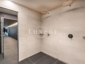 Pronájem bytu 4+kk, Praha - Smíchov, Holečkova, 174 m2