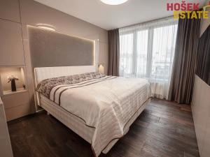 Prodej bytu 4+kk, Brno, Spálená, 129 m2