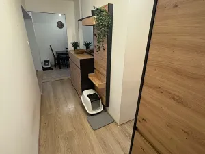 Pronájem bytu 2+1, Meziboří, Hornická, 60 m2