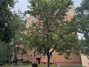 Prodej bytu 3+1, Orlová, Lesní, 56 m2