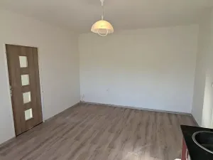 Pronájem bytu 2+kk, Ústí nad Labem, Mlýnská, 54 m2