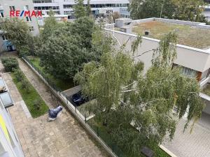 Pronájem bytu 2+1, Praha - Žižkov, Pod lipami, 57 m2