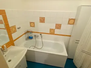 Pronájem bytu 2+1, Praha - Žižkov, Zelenky-Hajského, 53 m2