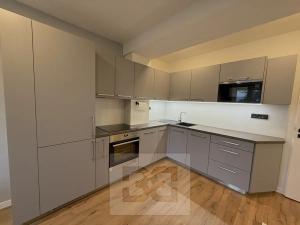 Pronájem bytu 3+kk, Praha - Žižkov, Buková, 52 m2