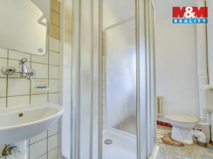 Pronájem rodinného domu, Dlažov, 223 m2