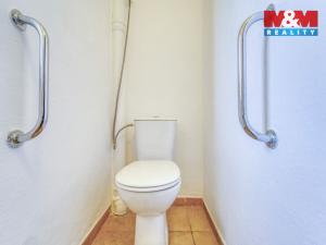 Pronájem rodinného domu, Dlažov, 223 m2