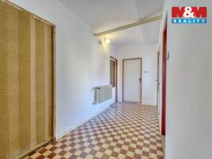 Pronájem rodinného domu, Dlažov, 223 m2