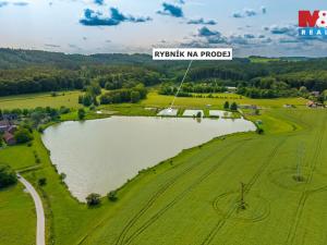 Prodej rybníku, Ostružno, 3377 m2