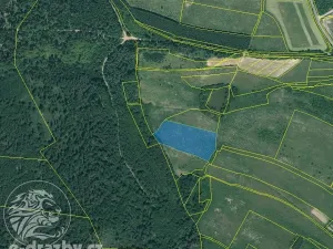 Dražba pole, Václavy, 18821 m2