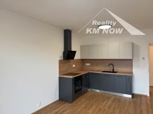 Pronájem bytu 2+kk, Brno, Škrochova, 50 m2