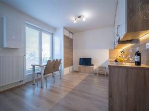 Pronájem bytu 1+kk, České Budějovice - České Budějovice 7, Lidická tř., 27 m2