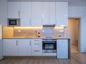 Pronájem bytu 1+kk, České Budějovice - České Budějovice 7, Lidická tř., 27 m2